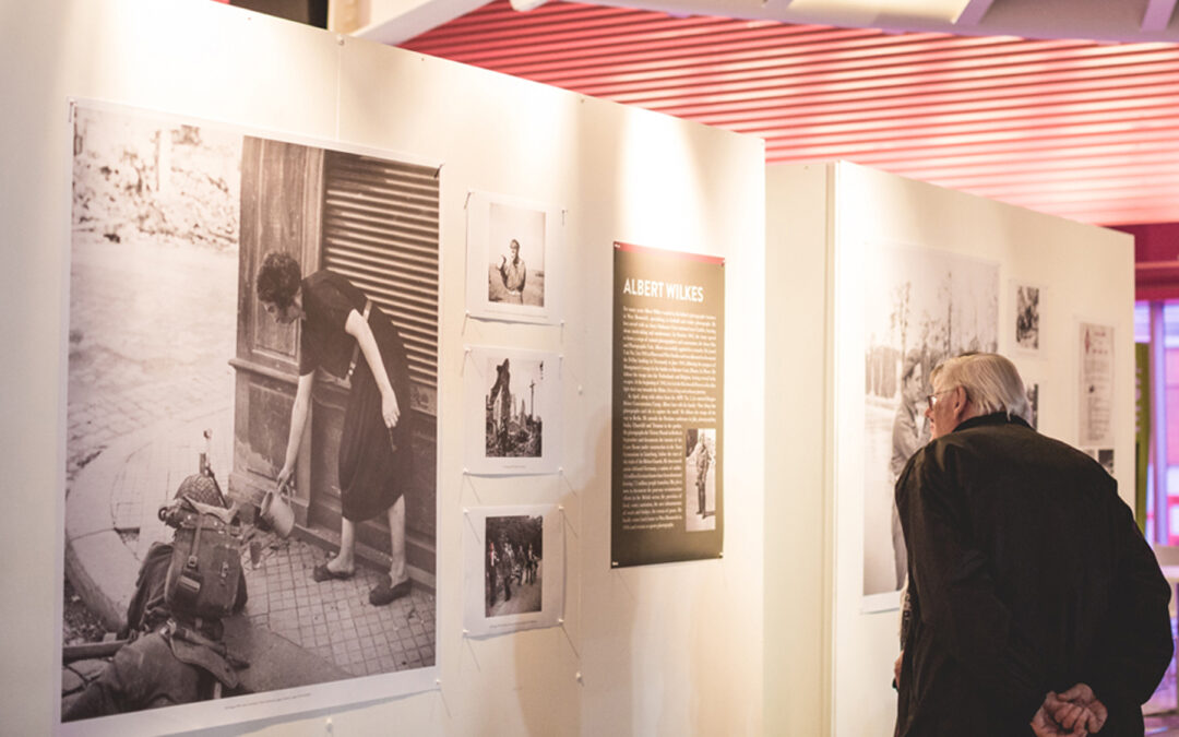 West Bromwich at War, 2016